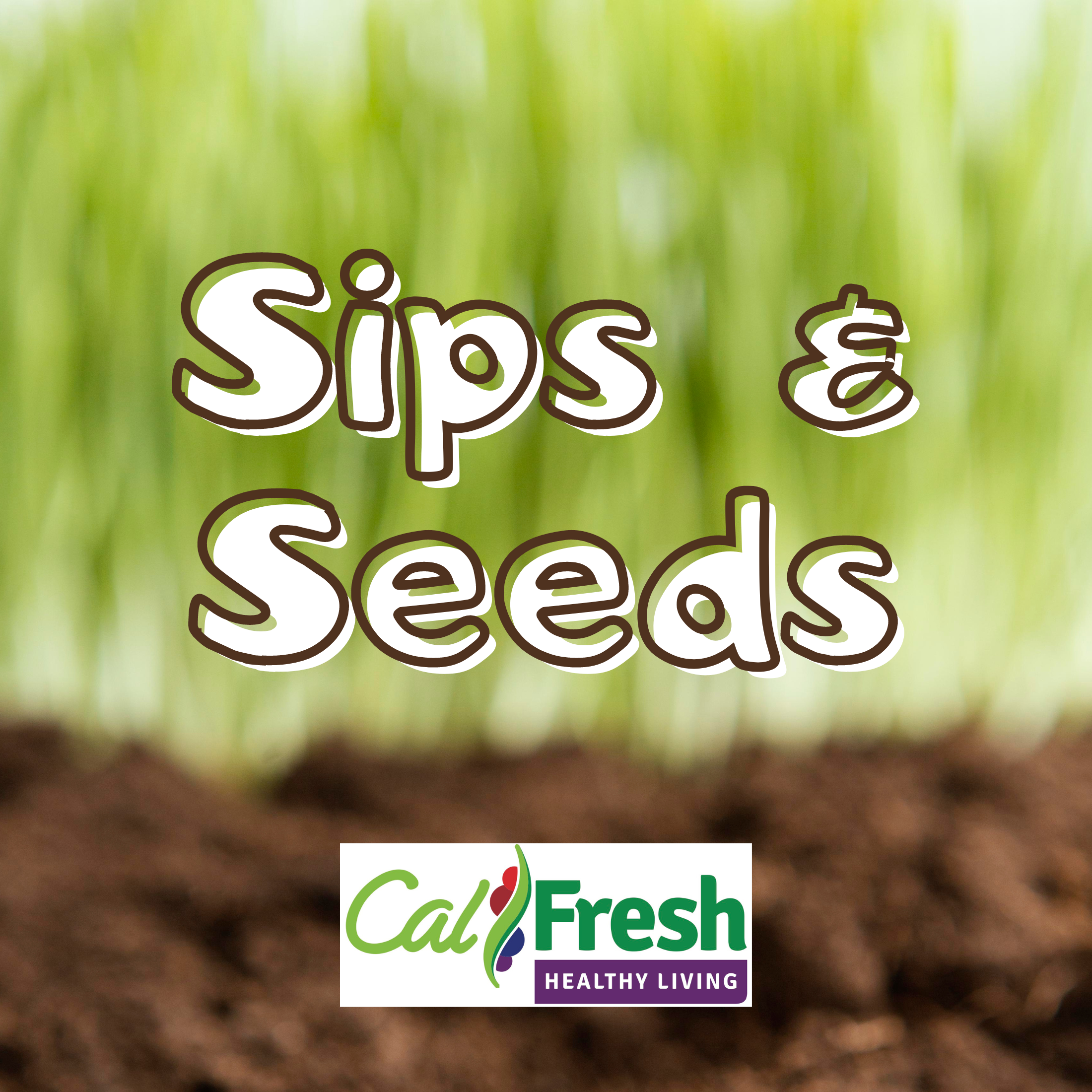 Sips  & Seeds
