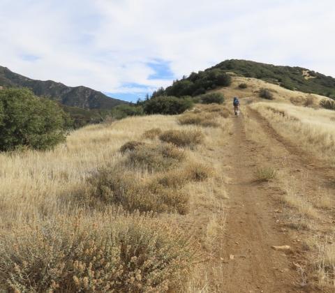 Wapotich Trail in the mountains.