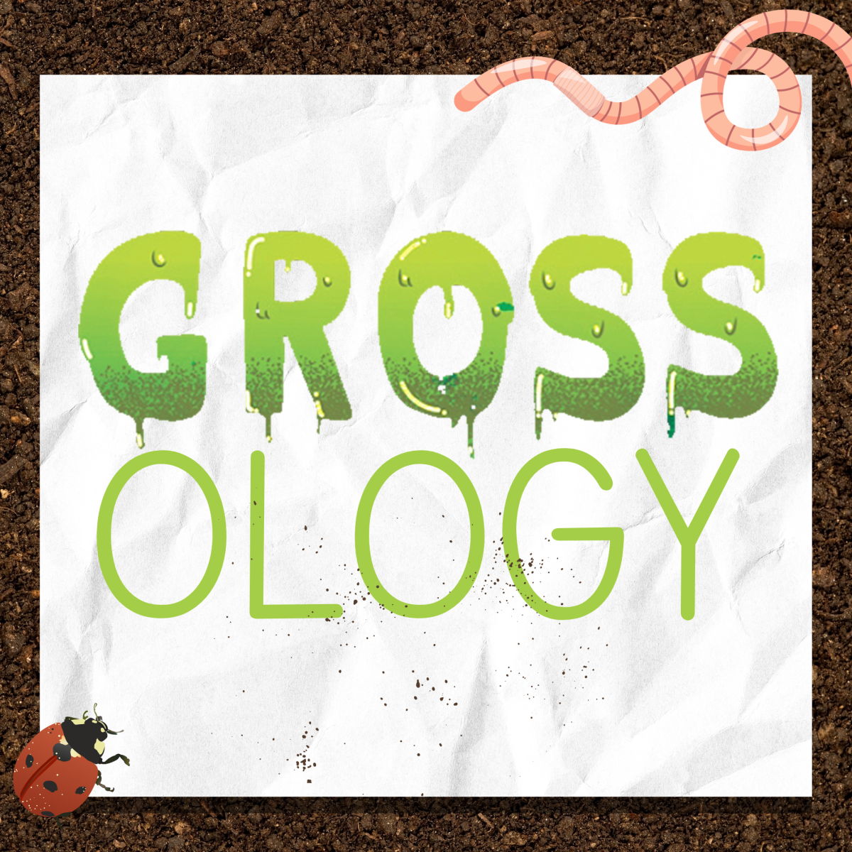 Grossology